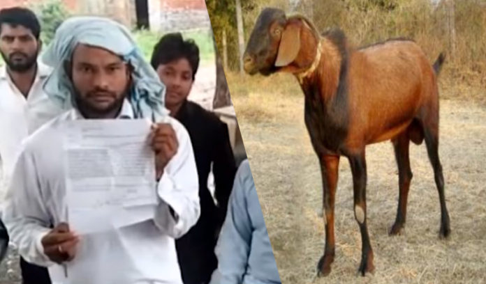 ਹਰਿਆਣਾ 'ਚ 8 ਲੋਕਾਂ ਨੇ ਕੀਤਾ ਬੱਕਰੀ ਨਾਲ ਮੂੰਹ ਕਾਲਾ ,ਬੱਕਰੀ ਦੀ ਹੋਈ ਮੌਤ Haryana in 8 People Goat rape ,Goat Death