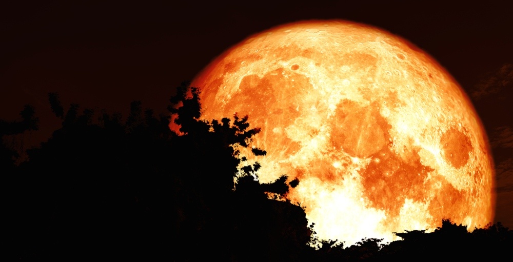 Canada will witness the longest Blood Moon of 21st century this Friday!