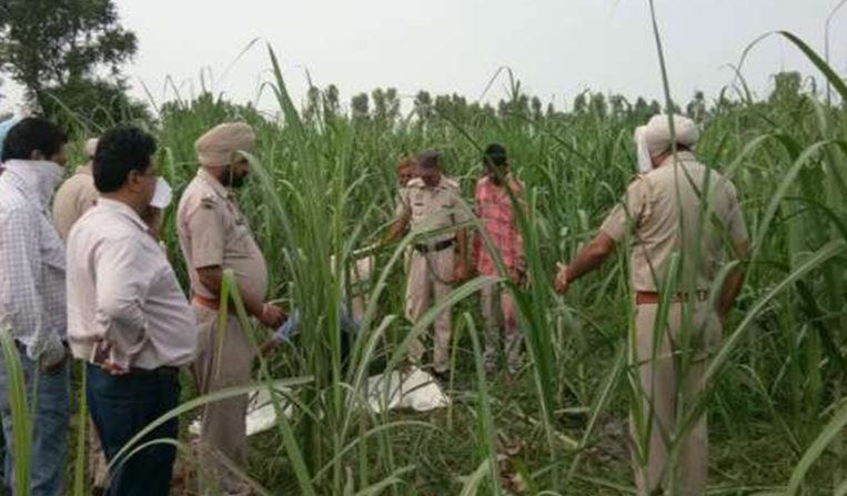 ਦੀਨਾਨਗਰ ਦੇ ਇੱਕ ਖੇਤ 'ਚੋਂ ਨੌਜਵਾਨ ਦੀ ਮਿਲੀ ਲਾਸ਼