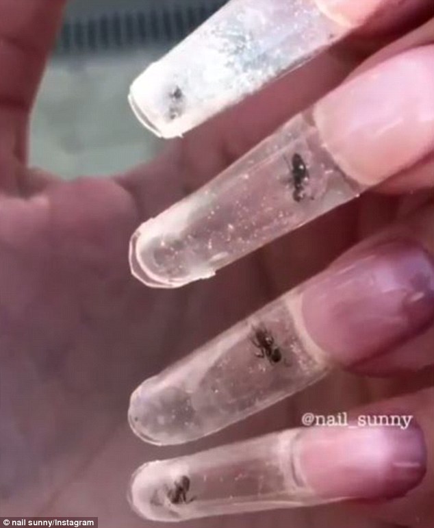 You'll be disgusted! Nail manicure reveals nails filled with live ANTS!