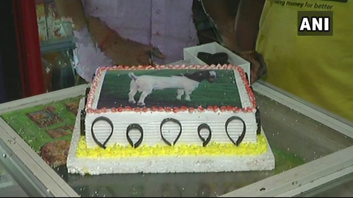 Man Cuts Cake With Picture Of A Goat Instead Of An Actual Goat On Eid