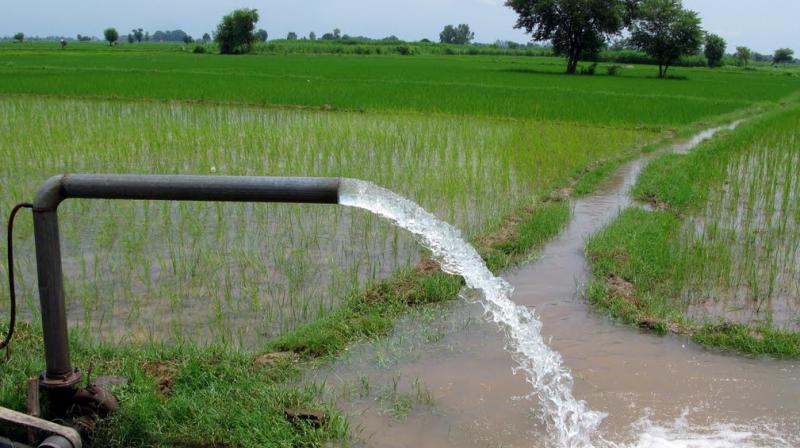 SAD Demands To Withdraw Cuts Lifting Irrigation Water From Sirhind Canal