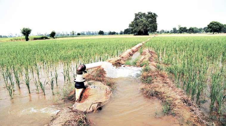 Alarming levels of chemicals in ground water in Malwa region, Punjab