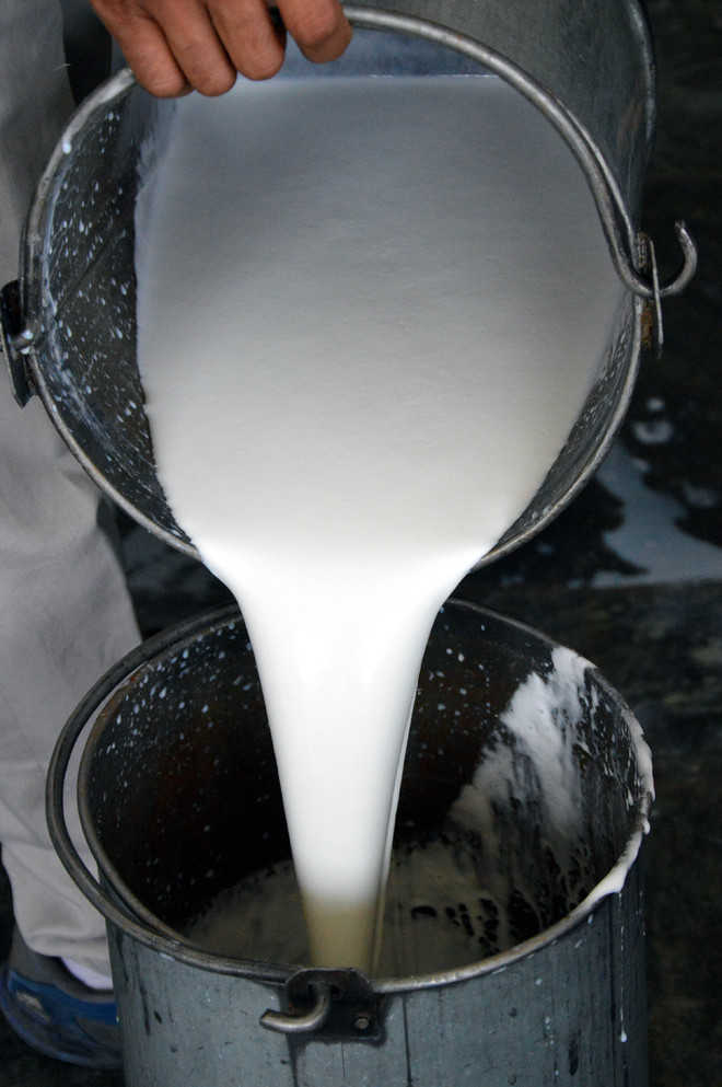 '40% of seized milk and milk products are of substandard quality in Punjab'