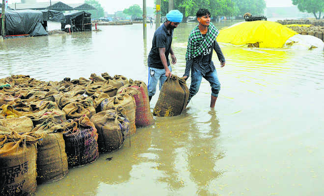 Farmers at huge losses as rainfall lashes parts of Punjab