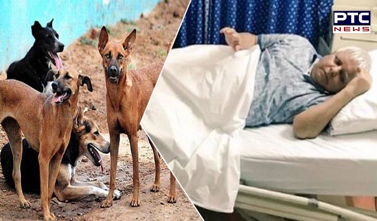 Barking dogs keep Rashtriya Janata Dal Chief, LALU awake in hospital