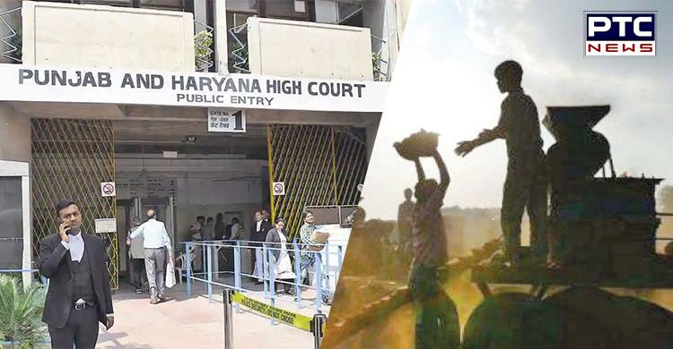 High Court notice to Punjab, Haryana on plea against bonded labour