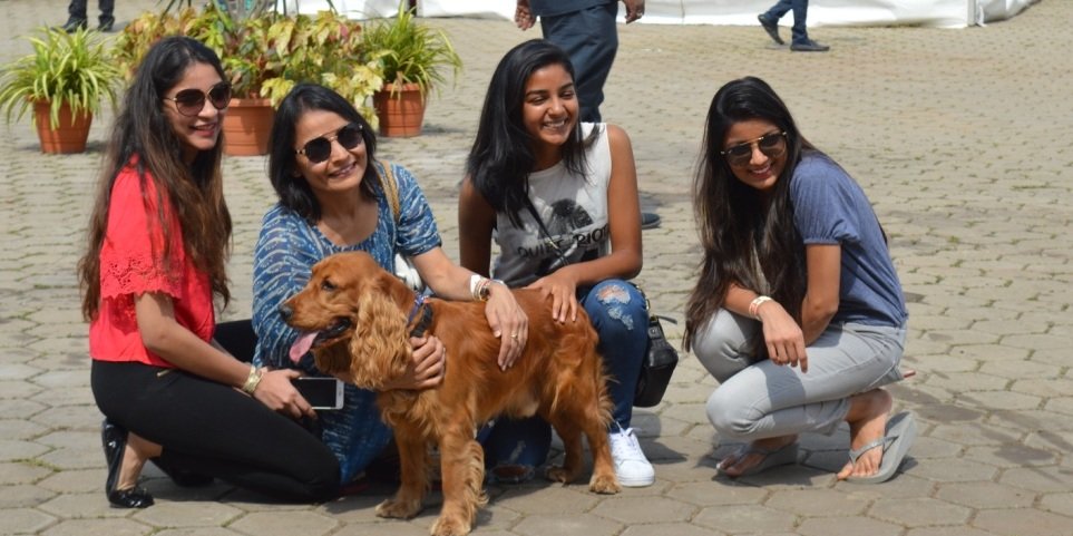 Hyderabad to sing bow wow with India's first dog park