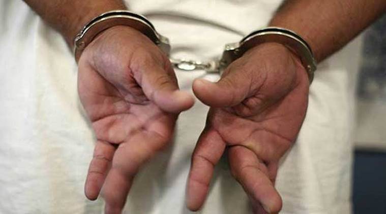 Six Indian nationals among several arrested by US immigration authorities