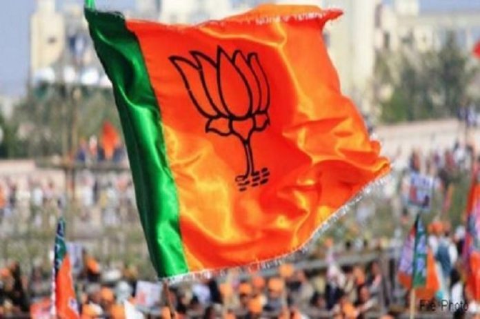 BJP promises to make C'garh 'Naxal-free', offers sops to farmers BJP promises to make C'garh 'Naxal-free', offers sops to farmers