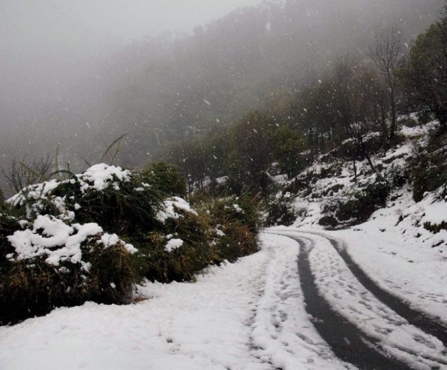 Mughal road closes with fresh snowfall in J&K