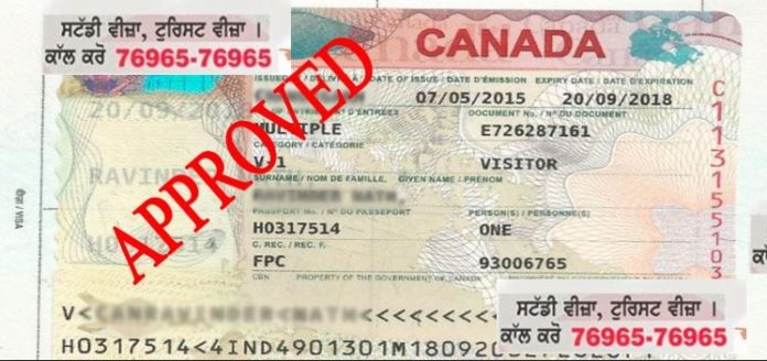 visitor visa canada visitor visa canada