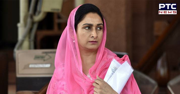 Centre has come to rescue of stranded Pbi workers in Saudia Arabia - Harsimrat Badal