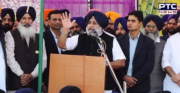 Sukhbir Badal asks Cong mps not to shed crocodile tears on issue of SC scholarship scheme