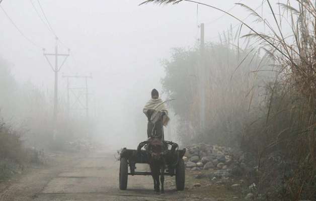 Mercury continues to dip in several parts of Punjab, Haryana