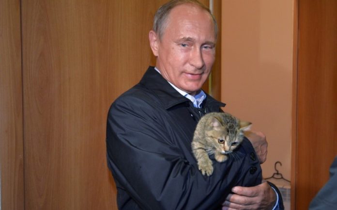 Putin warns if US develops banned missiles, so will Russia Putin warns if US develops banned missiles, so will Russia