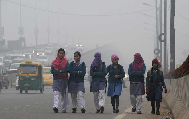 No let up in cold wave sweeping Pb & Hry; Adampur coldest at 1 deg C