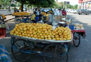 Amritsar Municipal Corporation vendor 1500 per month tax Against Protest