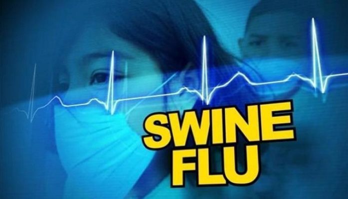 Swine Flu Swine Flu