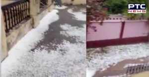 snow fall