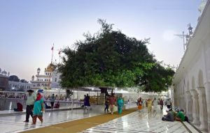 dukh bhajni beri