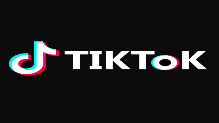 TikTok no longer available on Google and Apple in India