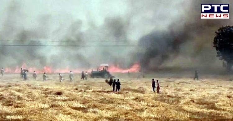 Compensate farmers immediately for crop damage from fires: Badal