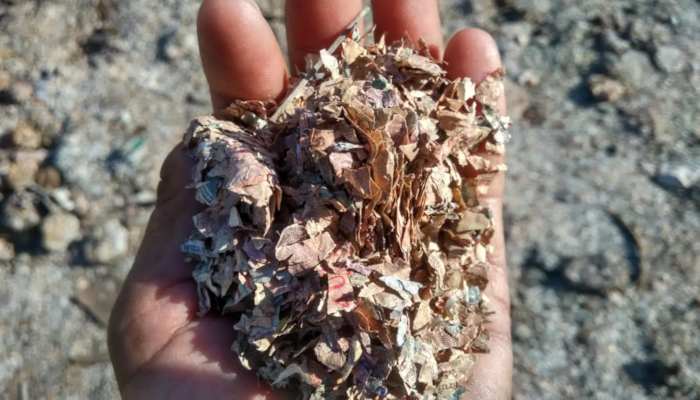 हरियाणा में इस जगह से बरामद हुआ करोड़ों के नोटों का 'कचरा' (Video)