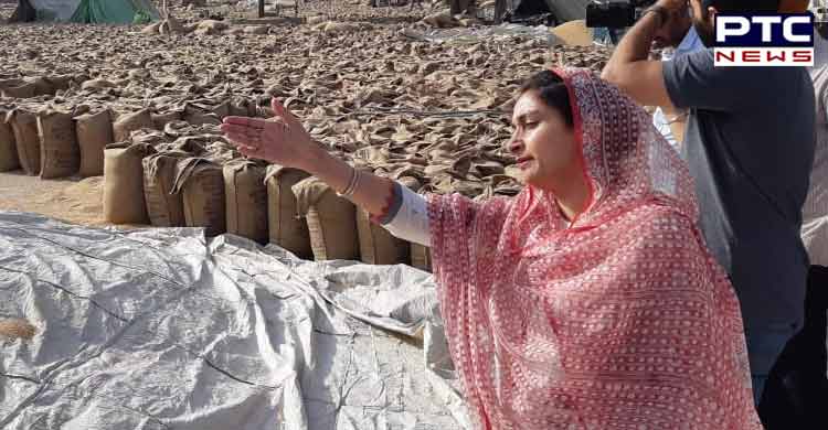 Cong govt criminal negligence in failing to procure gunny bags has choked Mandis - Harsimrat Badal