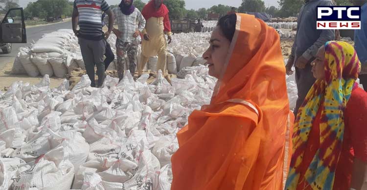 Instead of spreading canards, tell why lifting not being done in Mandis - Harsimrat Badal to CM