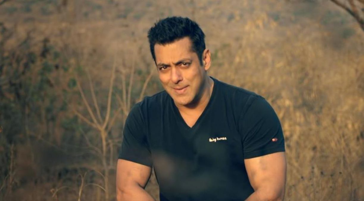 Black Buck Poaching Case: Salman Khan acquitted of fake affidavit charges