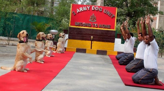 Rahul Gandhi tweets Army dog squad yoga pic with a caption ‘New India’, gets trolled
