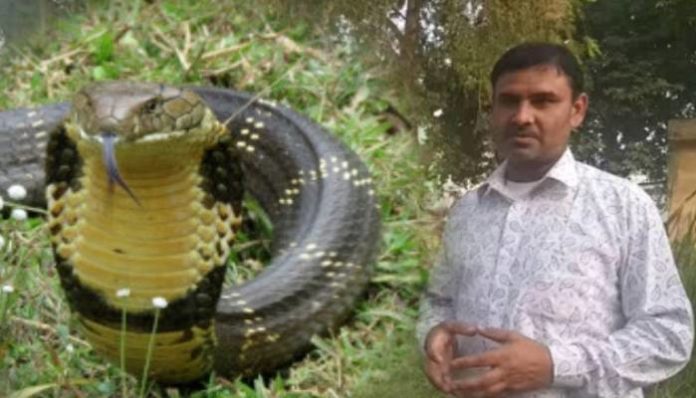 snake man 4 snake man 4
