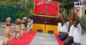 International Yoga Day : Indian army jawans Snow On yoga