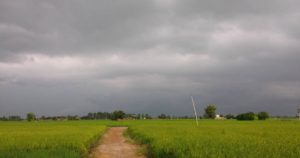 Punjab Chandigarh including Punjab Monsoon ,weather pleasant
