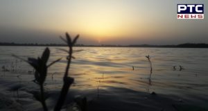 Sukhna Lake