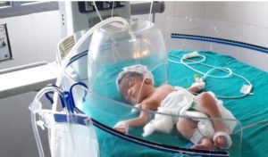 kaithal mother baby girl after birth throw ,video viral