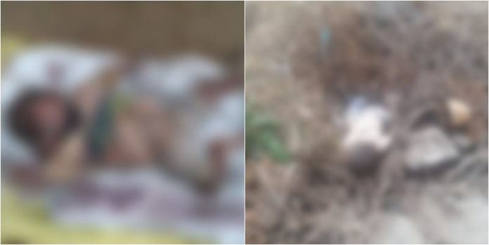 Bathinda: Toddler found dead near the bank of the river in Baluana village Bathinda: Toddler found dead near the bank of the river in Baluana village