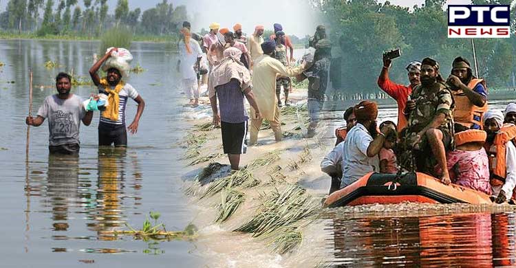 Punjab Floods: Water everywhere but not a drop to drink