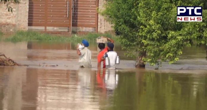 Punjab Floods: Around 20 villages in Lohian Khas flooded in Jalandhar Punjab Floods: Around 20 villages in Lohian Khas flooded in Jalandhar