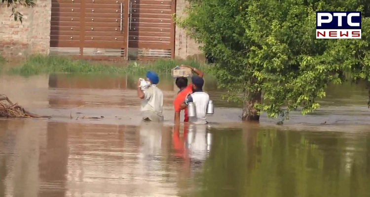 Punjab Floods: Around 20 villages in Lohian Khas flooded in Jalandhar