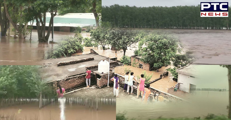 Jalandhar: Flood-like situation in 7 villages of Phillaur following heavy rainfall, see photos