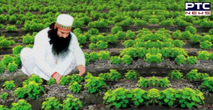 ram-rhim-1 ram rahim