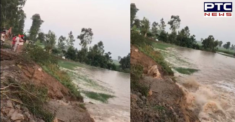 ਸਤਲੁਜ ਦਰਿਆ 'ਤੇ ਬਣੇ ਧੁੱਸੀ ਬੰਨ੍ਹ 'ਚ ਪਾੜ ਪੈਣ ਕਾਰਨ ਸੁਲਤਾਨਪੁਰ ਲੋਧੀ ਦੇ ਕਈ ਪਿੰਡਾਂ 'ਚ ਕਿਸਾਨਾਂ ਦੀ ਫ਼ਸਲ ਪਾਣੀ 'ਚ ਡੁੱਬੀ