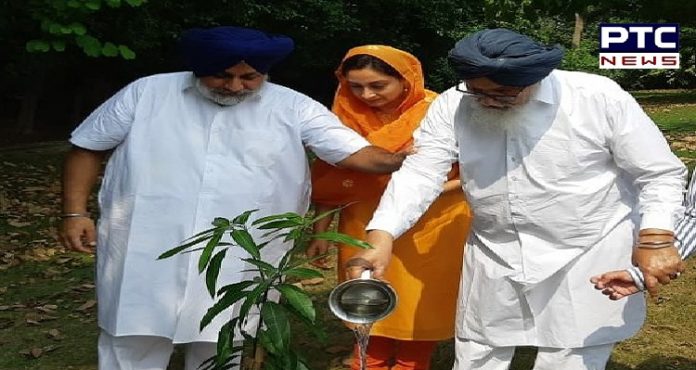 Harsimrat Kaur Badal, along with Sukhbir Singh Badal, celebrates 11th anniversary of Nanhi Chhaan Harsimrat Kaur Badal, along with Sukhbir Singh Badal, celebrates 11th anniversary of Nanhi Chhaan