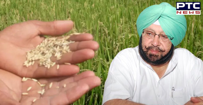 ਝੋਨੇ ਦੇ ਉਤਪਾਦਨ 'ਚ ਸਰਵੋਤਮ ਕਾਰਗੁਜ਼ਾਰੀ ਲਈ 'ਕ੍ਰਿਸ਼ੀ ਕਰਮਨ ਐਵਾਰਡ' ਵਾਸਤੇ ਪੰਜਾਬ ਦੀ ਚੋਣ , ਮੁੱਖ ਮੰਤਰੀ ਨੇ ਕੀਤੀ ਸ਼ਲਾਘਾ CAPT AMARINDER HAILS PUNJAB’s SELECTION FOR ‘KRISHI KARMAN AWARD’ AS BEST PERFORMING STATE IN RICE PRODUCTION