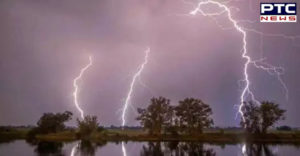Bihar 17 and UP 8 lightning falling killed , Patna tree collapse 9 injured