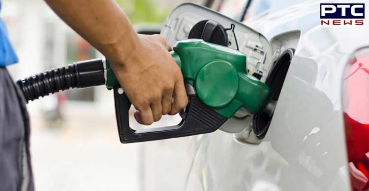 Petrol, diesel price halts after a 21-day-consecutive hike; Here are latest rates of fuel in top cities