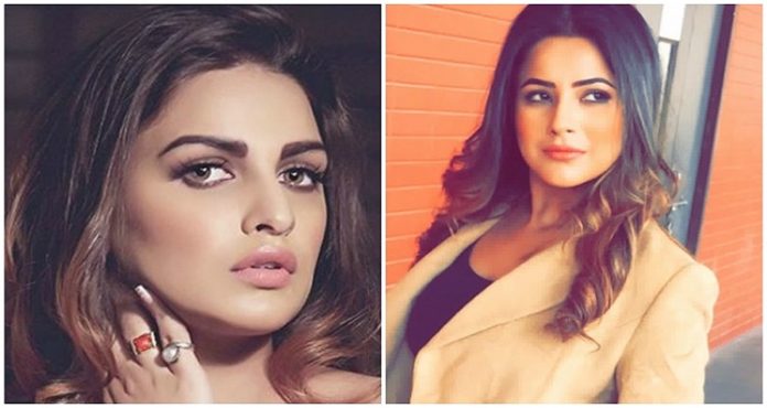 himn himanshi khurana vs shehnaz gill