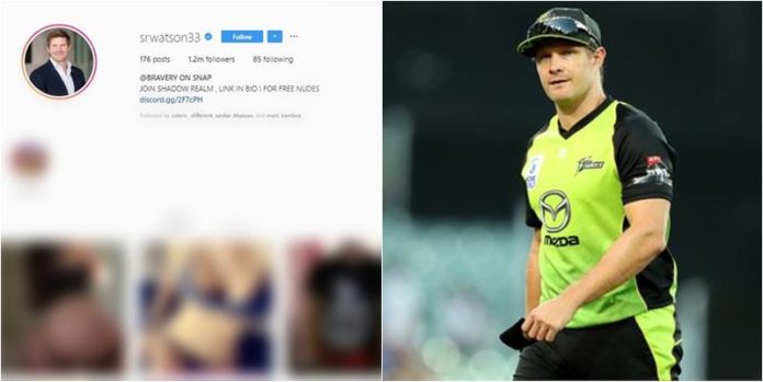 shan Shane Watson Insta Account Hack